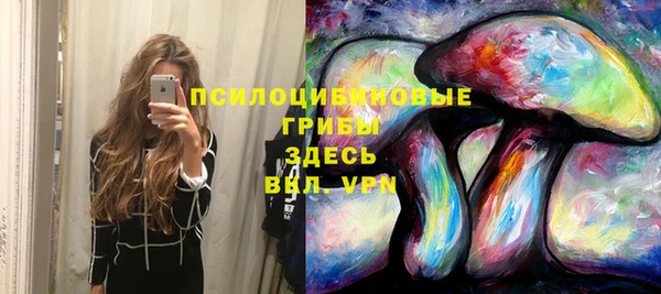 спайс Алексеевка