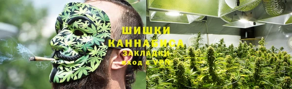 бутират Алзамай