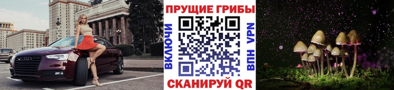 закладки  блэк спрут как зайти  Псилоцибиновые грибы мухоморы  Камбарка 